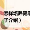 怎樣培養健康的孩子（關于怎樣培養健康的孩子介紹）