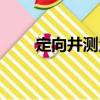 定向井測量（關于定向井測量介紹）