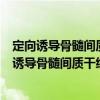 定向誘導骨髓間質干細胞分化為胰島的實驗研究（關于定向誘導骨髓間質干細胞分化為胰島的實驗研究介紹）
