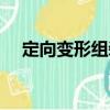 定向變形組裝（關于定向變形組裝介紹）