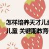 怎樣培養天才兒童 關鍵期教育0-3周歲（關于怎樣培養天才兒童 關鍵期教育0-3周歲介紹）