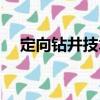定向鉆井技術（關于定向鉆井技術介紹）