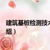 建筑基樁檢測技術和鑒定（關于建筑基樁檢測技術和鑒定介紹）