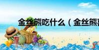 金絲熊吃什么(金絲熊喜歡吃什么)
