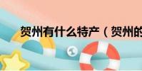 賀州有什么特產(賀州的特產有哪些)