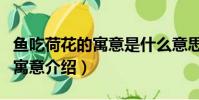 魚吃荷花的寓意是什么意思(關于魚吃荷花的寓意介紹)