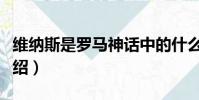 維納斯是羅馬神話中的什么神(維納斯內容介紹)
