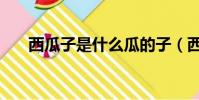 西瓜子是什么瓜的子(西瓜子的介紹)