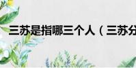 三蘇是指哪三個人(三蘇分別指的是誰呢)