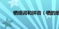 犧組詞和拼音(犧的組詞是什么)