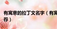 有寓意的拉丁文名字(有寓意的拉丁文名字推薦)
