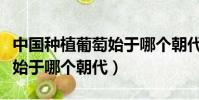 中國種植葡萄始于哪個朝代(中國種植葡萄是始于哪個朝代)