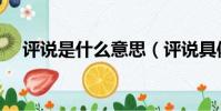 評說是什么意思(評說具體是什么意思)