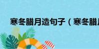 寒冬臘月造句子(寒冬臘月造句子列述)