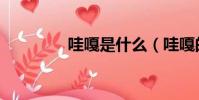 哇嘎是什么(哇嘎的意思)