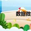數據微擾（關于數據微擾簡介）