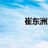 崔東洲集（關于崔東洲集簡介）