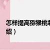 怎樣提高獼猴桃栽培效益（關于怎樣提高獼猴桃栽培效益介紹）