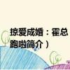 掠愛成婚：霍總 我帶娃跑啦（關于掠愛成婚：霍總 我帶娃跑啦簡介）