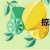 掠鴻（關于掠鴻簡介）