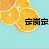 定崗定薪（關于定崗定薪介紹）