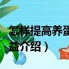 怎樣提高養蛋雞效益（關于怎樣提高養蛋雞效益介紹）