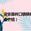 定安縣嶺口鎮檳榔購銷協會（關于定安縣嶺口鎮檳榔購銷協會介紹）