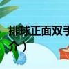 排球正面雙手墊球（關于排球正面雙手墊球簡介）