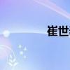 崔世泰（關于崔世泰簡介）
