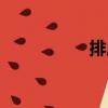排虛（關于排虛簡介）