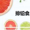 排鉛食品（關于排鉛食品簡介）