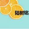 陸樹銘簡介（陸樹銘個人簡介）