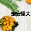 定安里大院（關于定安里大院介紹）