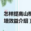 怎樣提高山楂栽培效益（關于怎樣提高山楂栽培效益介紹）