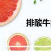 排酸牛肉（關于排酸牛肉簡介）