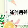 崔仲岳鶴舟（關于崔仲岳鶴舟簡介）