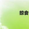 掠食者（關于掠食者簡介）