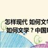 怎樣現代 如何文學？中國現代文學研究論集（關于怎樣現代 如何文學？中國現代文學研究論集介紹）