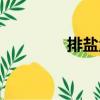 排鹽量（關于排鹽量簡介）