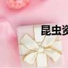 昆蟲資料（昆蟲的相關知識）