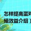 怎樣提高蛋雞養殖效益（關于怎樣提高蛋雞養殖效益介紹）