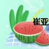 崔亞斌（關于崔亞斌簡介）