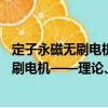 定子永磁無刷電機——理論、設計與控制（關于定子永磁無刷電機——理論、設計與控制介紹）
