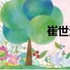 崔世海（關于崔世海簡介）