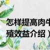 怎樣提高肉牛養殖效益（關于怎樣提高肉牛養殖效益介紹）