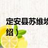 定安縣蘇維埃政府（關于定安縣蘇維埃政府介紹）