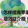 怎樣提高蘋果栽培效益（關于怎樣提高蘋果栽培效益介紹）