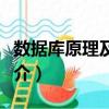 數據庫原理及應用（關于數據庫原理及應用簡介）