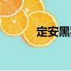 定安黑豬（關于定安黑豬介紹）