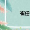 崔任世（關于崔任世簡介）